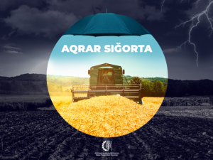 image-78qkcag5pi4ft4x14ogyr7i7rn92ardqalwomdvl