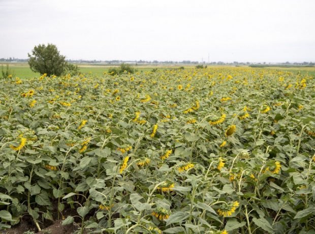 image-7ouupcy2vwepmgkhfdhxjh9kj1o9zqdgnlpr7di6