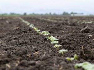 image-ent6h9giywqt2wcnkc9qlo5pmynpzhvydnkwkflo