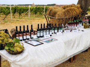 image-kwq4l36ertp8gtazy966koox8he95q4owezogx8r