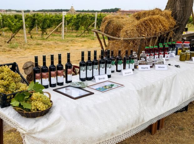 image-kwq4l36ertp8gtazy966koox8he95q4owezogx8r