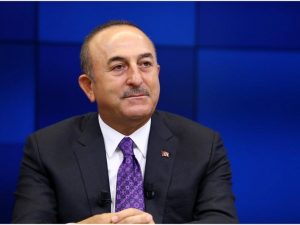 image-movludcavusoglu8