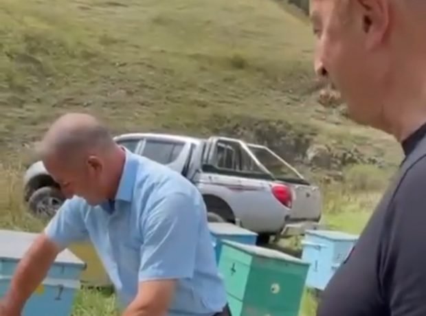 image-screenshot_20210817-103859_telegram