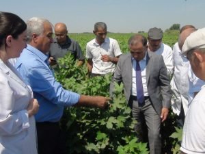 image-ybvtjzwh2omfdxu2rtl3ftbhoflh8booovqsbyvm