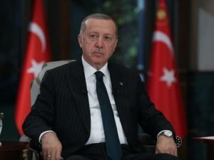 image-20200608_2_42862426_55754956