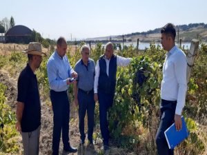 image-6azmc8rcpkubdq00dmybvegng2aog7tjd3lk62ap