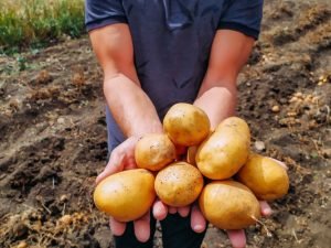 image-bg1tllvjggllkfxxy39weadm09qkmbp0dg3o5zj9