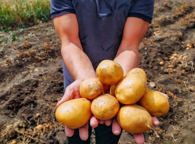 image-bg1tllvjggllkfxxy39weadm09qkmbp0dg3o5zj9