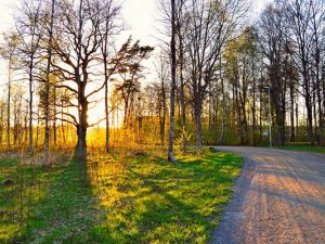 image-hava