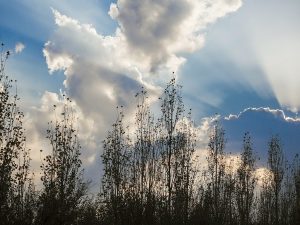 image-havapayiz157-6158049_781