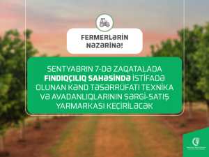 image-jlbbtmom9okqb3bp62fofnyxvfia0c30c0x1lgjh