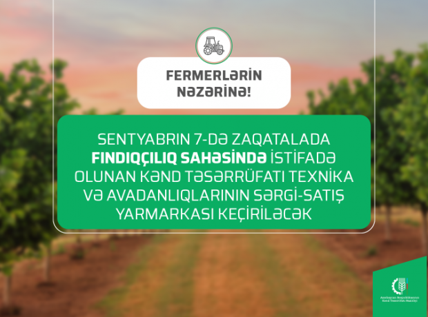 image-jlbbtmom9okqb3bp62fofnyxvfia0c30c0x1lgjh