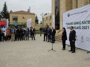 image-mcop6jvl1eh97sg4sed7liywsd37teu1wnjfbgvb