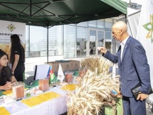 image-mtpnztqx8wd2upfjoxdyigajmjv6xesgxqtkxvtt