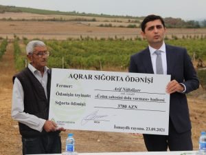 image-xih700kj5rtgencng29ga61vdarikrbxpgsnhtby