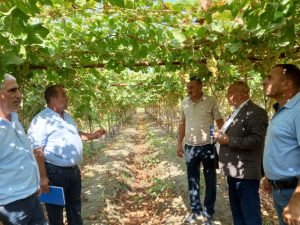 image-ybnjbopuai94v0xpqw2kooztzlaffem1oeae0kll