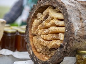 image-e1xuyhwer1ogexexkcayybqo0liufydghednzuf0-1