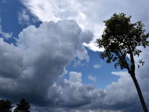 image-hava1-1