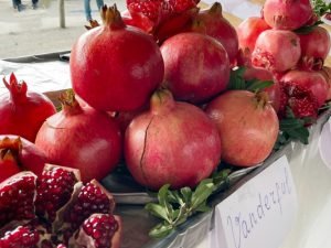 image-l6lgvg5qdcbyetygoqsqt8qdcydjk48emx7top6i