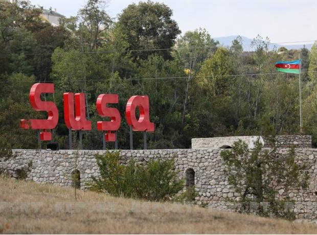 image-susa-ela-yeni