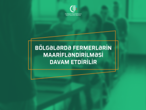 image-xw4nycyfq0ceypechoqw4qaykbihtck8aqy8is2x