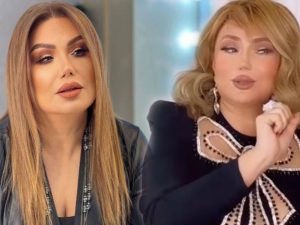 image-1637563684_untitled-1