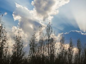 image-15810667461339901065e3d29fa28744