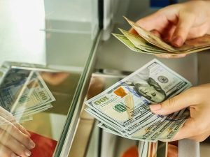 image-1642491061_untitled-1