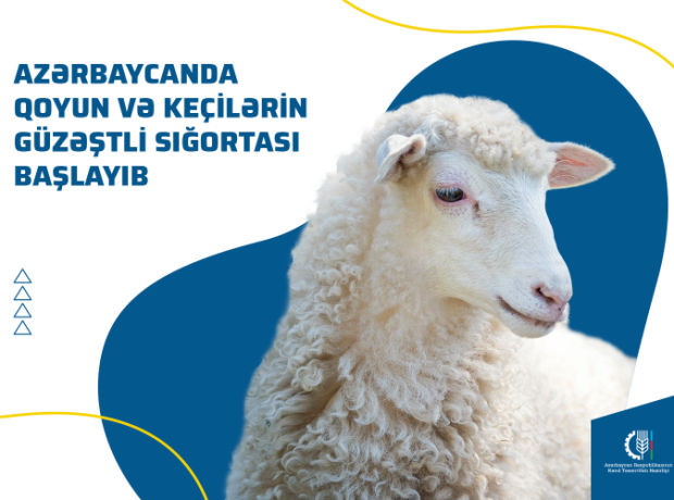 image-aya5qfxubjf42bb24dlg2z4tythdmdbnnklpb3b6