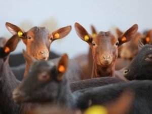 image-kwfrazxrns9ou1vgy3hh0rogbkc3jmjuiyx0vjwg