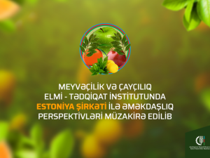 image-vaz0bthgvwtjayqge7cqo0wuokvvibviamx6r0oq