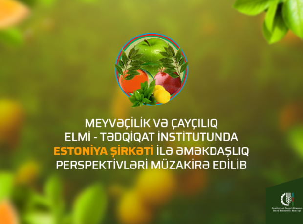 image-vaz0bthgvwtjayqge7cqo0wuokvvibviamx6r0oq