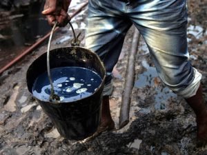 image-vedronefti_441914