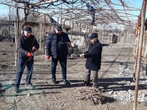 image-vzhu8lm4b99xi4ijg9g7oflzlzkccdy9o7p1hrsl