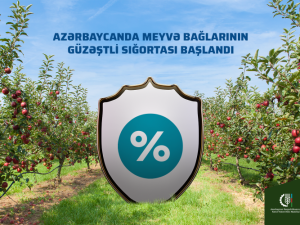 image-wm6qckd8abnsq0rxgfzbfa3ufik2yjgd3c4zzxpm