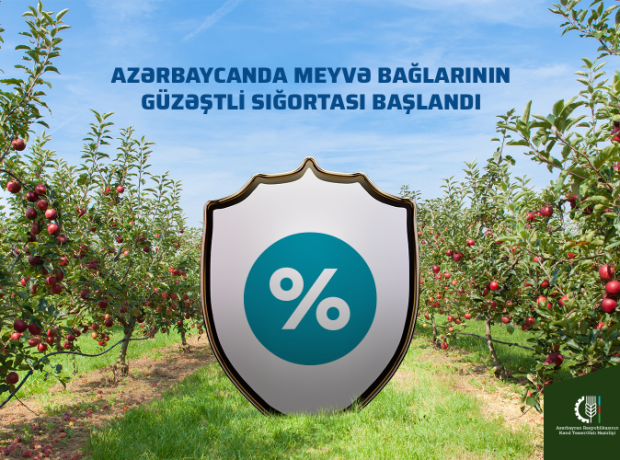 image-wm6qckd8abnsq0rxgfzbfa3ufik2yjgd3c4zzxpm