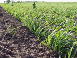 image-s9ofbymh33mqsyuonzptfjmslnwgs7projan6w9i