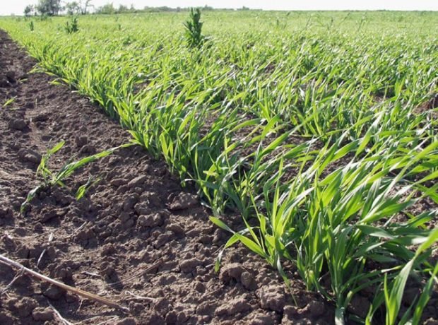 image-s9ofbymh33mqsyuonzptfjmslnwgs7projan6w9i