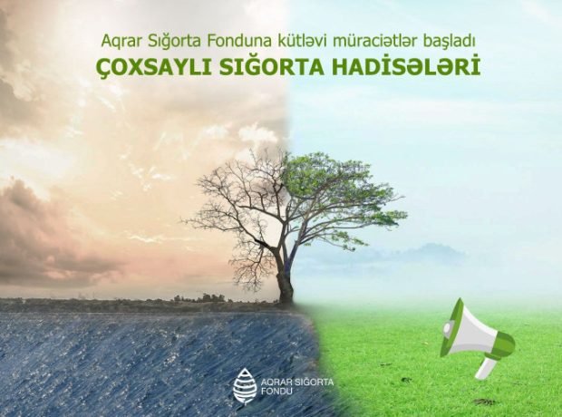 image-dham6shshthotippuhakehundzygbp5amkmtzvzu