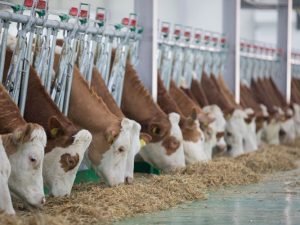 image-hadrvhqsahzcq4wvgbzidahtw4qyaez8ajywet24