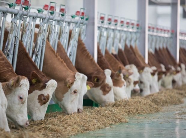 image-hadrvhqsahzcq4wvgbzidahtw4qyaez8ajywet24