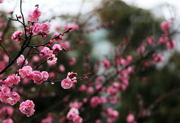 image-spring_weather_180313