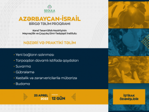 image-wukcdzx8u8flo9afn1eipn6fqokhyjh9fiigwdzg