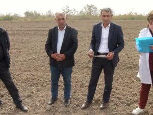 image-16508784692376949423_1000x669