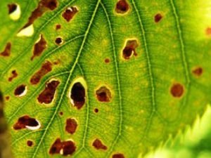 image-ahu7zuygtq96nqqh28piim28m5eilltukykqatxf