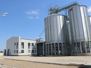 image-wxhsoqfixyqqlnni7yka6bzgqd2gpprdegkfsa3w