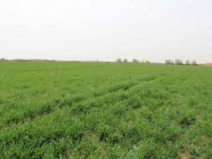 image-yylx1fju196n5k0bpbxqhjclj6yavkazamqtatfv