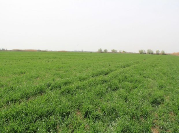 image-yylx1fju196n5k0bpbxqhjclj6yavkazamqtatfv