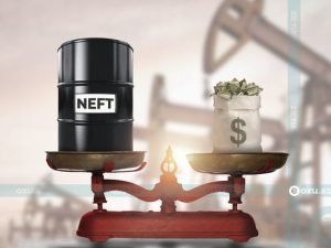 image-1629438578_neft