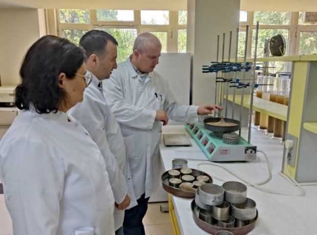 image-hftazeszqpmrfzv8uflycvggmcwsl4wbvq64liiy